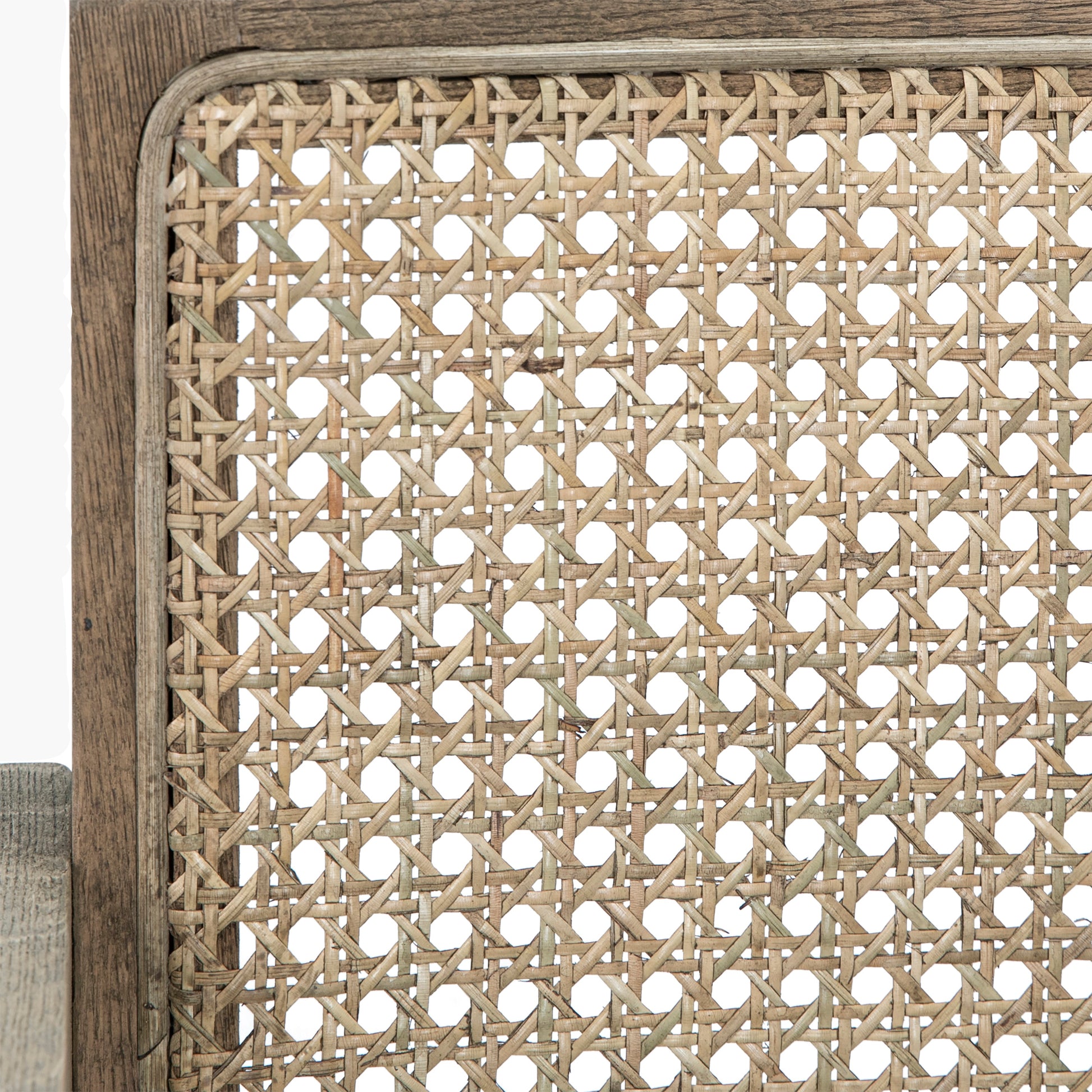 Linden Dining Chair